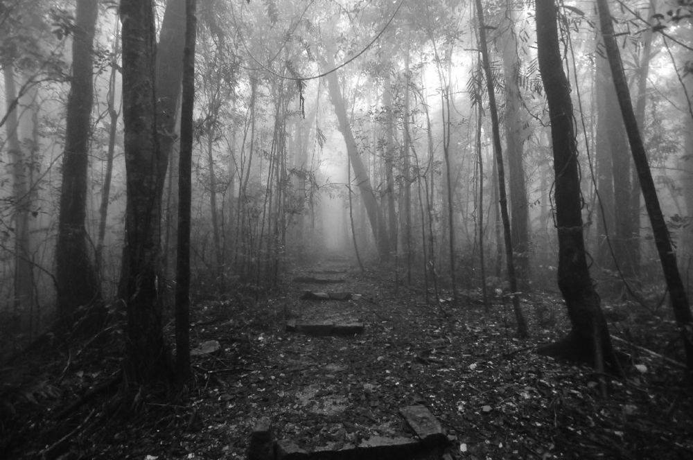 der-alte-weg-me Der alte Weg