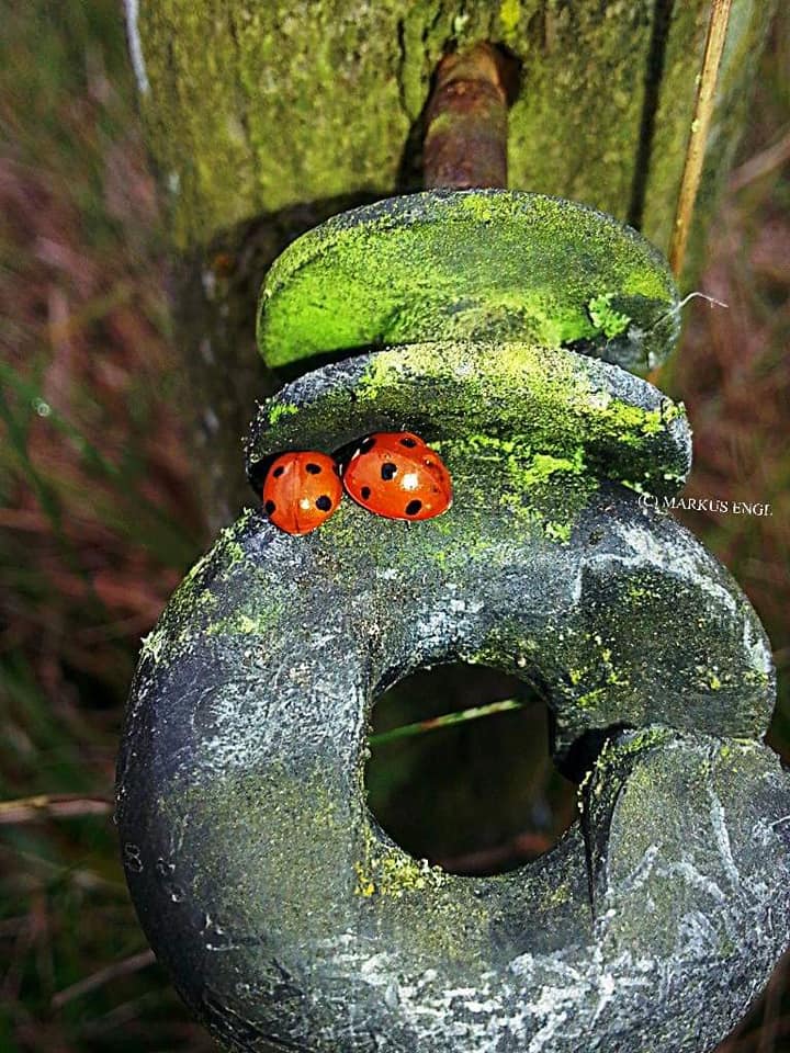 markus-Engl-C-2022 Thema: Keine Schuld zuweisen: