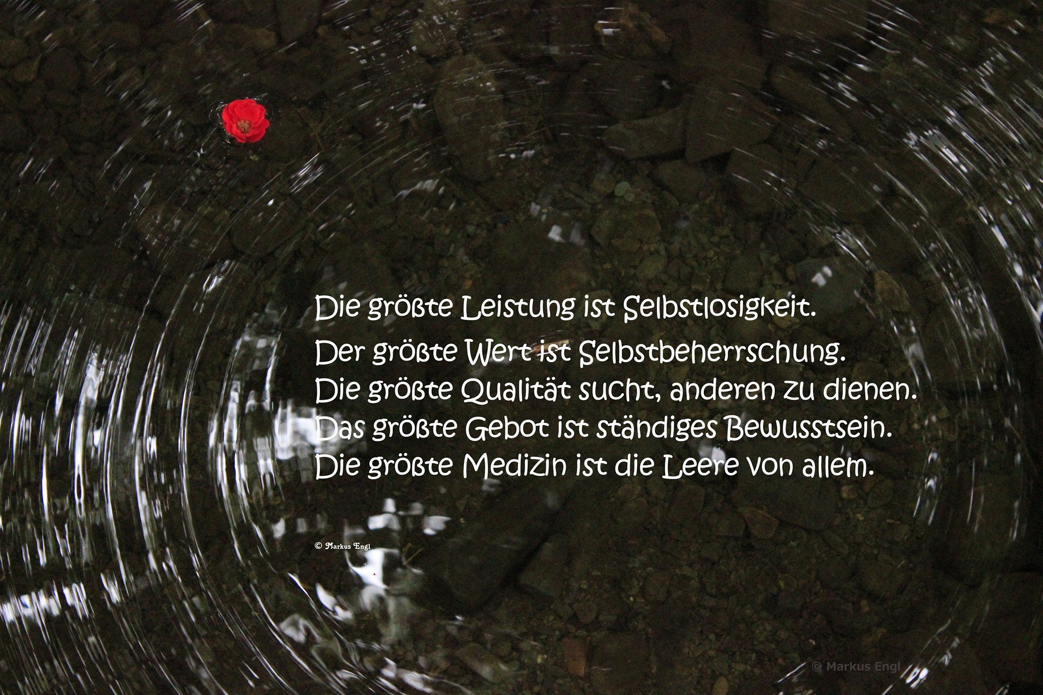 mein-foto-ederlust-me-1 Die größte Leistung.....